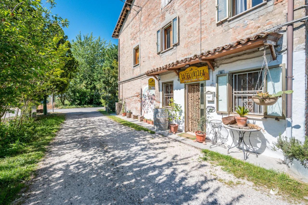 Selvatica50 B&B Nonantola Zewnętrze zdjęcie