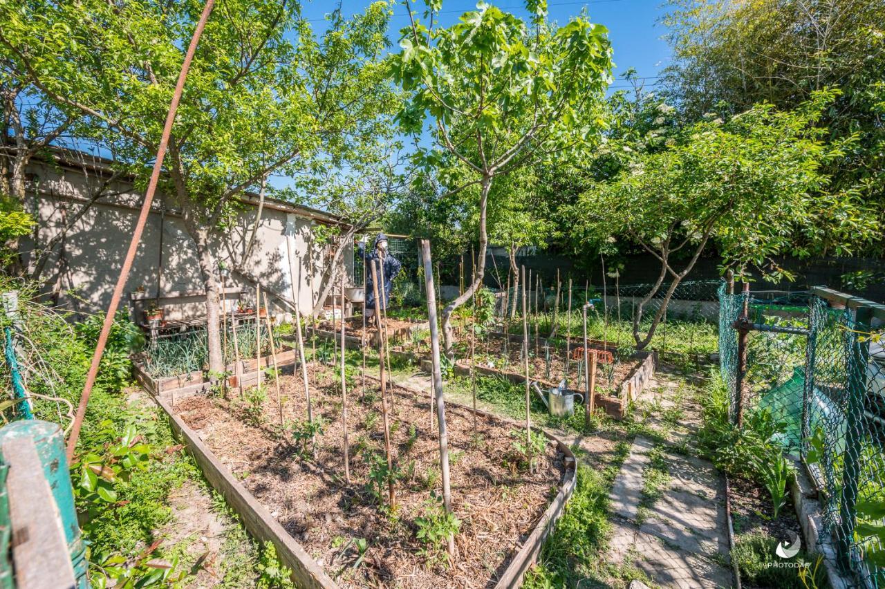 Selvatica50 B&B Nonantola Zewnętrze zdjęcie