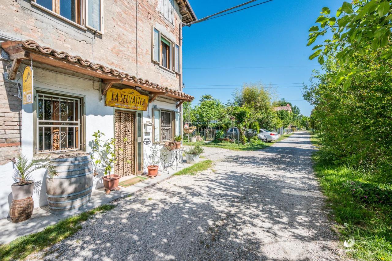 Selvatica50 B&B Nonantola Zewnętrze zdjęcie