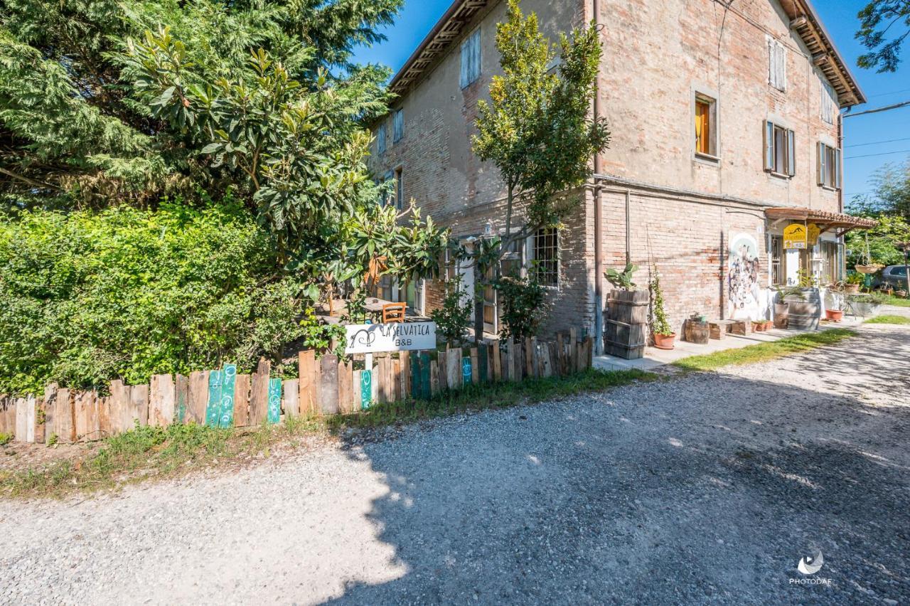 Selvatica50 B&B Nonantola Zewnętrze zdjęcie